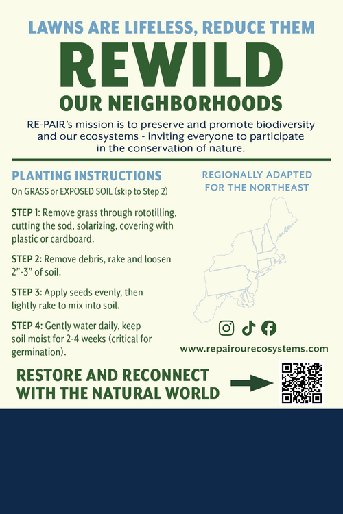 Back of the RE-PAIR Northeast Meadow Seed Mix seed packet showing the "Rewild Our Neighborhoods" mission statement, four-step planting instructions, and a map highlighting the Northeast region