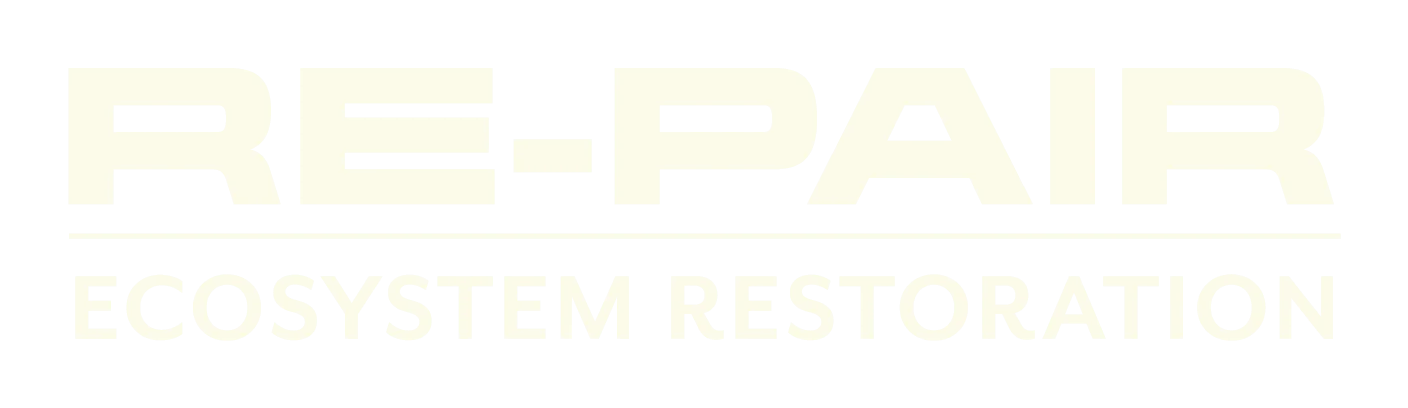 RE-PAIR